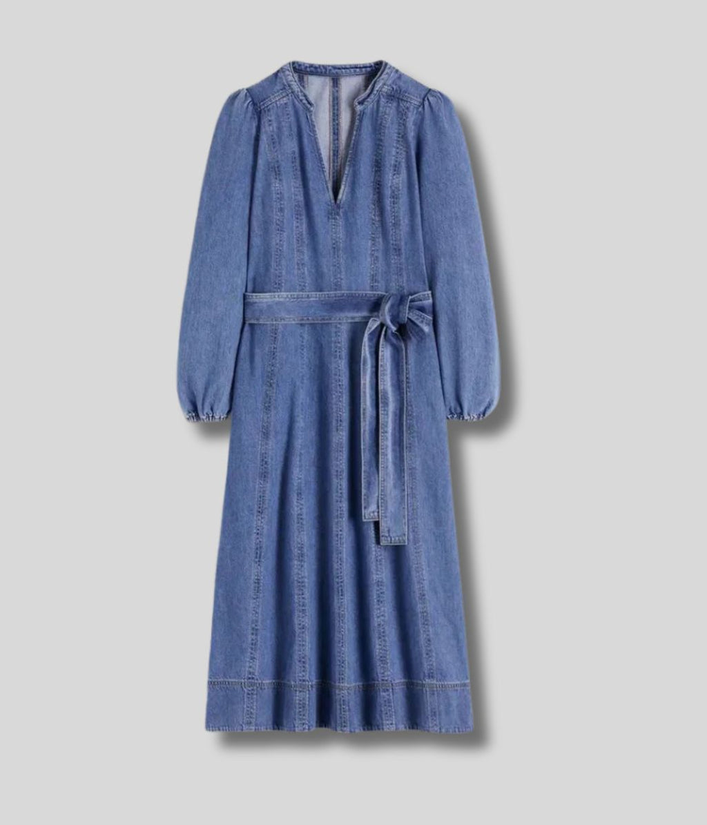 Denim Ros Panelled Midi Dress